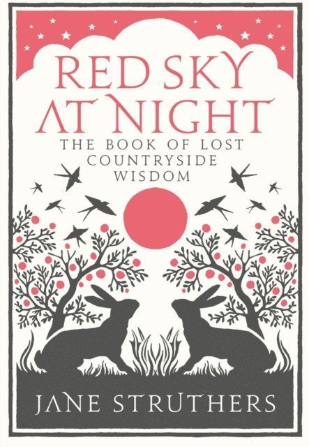 Jane Struthers - Red Sky at Night, E-bok