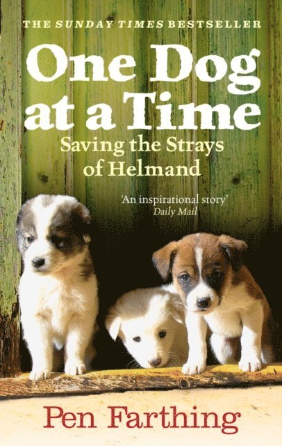 Pen Farthing - One Dog at a Time, E-bok