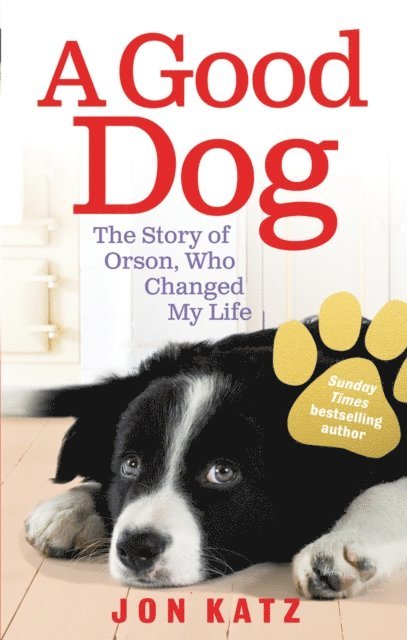Jon Katz - Good Dog, E-bok