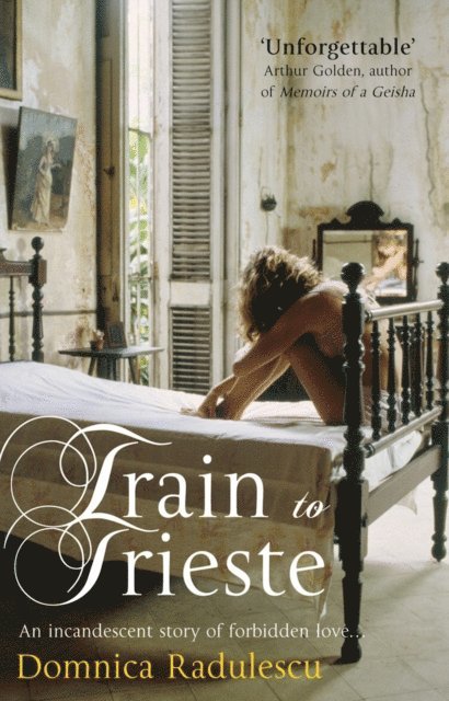 Domnica Radulescu - Train to Trieste, E-bok
