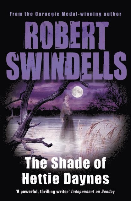 Robert Swindells - Shade of Hettie Daynes, E-bok