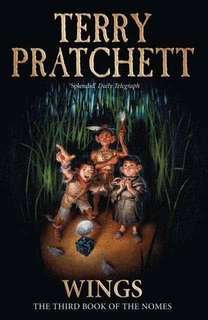 Terry Pratchett - Wings, E-bok