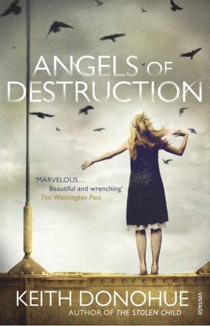 Keith Donohue - Angels of Destruction, E-bok