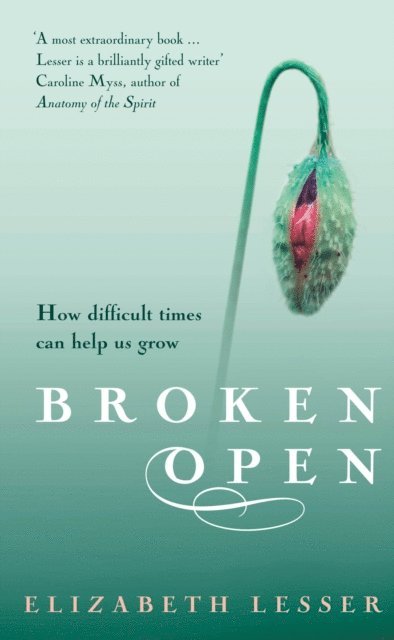Elizabeth Lesser - Broken Open, E-bok