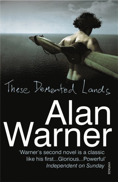 Alan Warner - These Demented Lands, E-bok