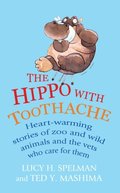 Hippo with Toothache