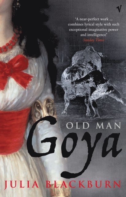 Julia Blackburn - Old Man Goya, E-bok