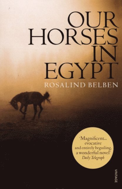 Rosalind Belben - Our Horses in Egypt, E-bok