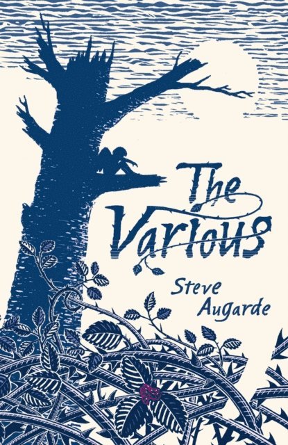 Steve Augarde - Various, E-bok. Tillgänglighet: Lägg i varukorg