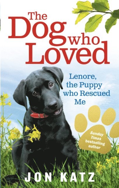 Jon Katz - Dog who Loved, E-bok