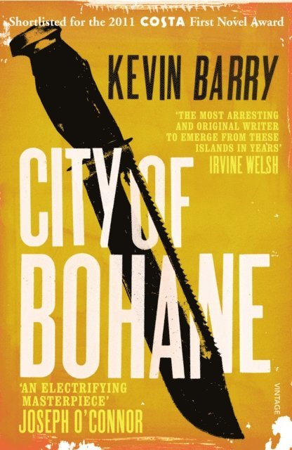 Kevin Barry - City of Bohane, E-bok