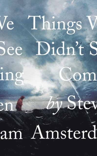 Steven Amsterdam - Things We Didn't See Coming, E-bok. Tillgänglighet: Lägg i varukorg