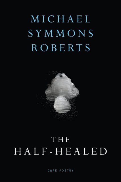 Michael Symmons Roberts - Half Healed, E-bok