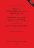 Upper Tisza Project. Studies in Hungarian Landscape Archaeology. Book 3: Settlement Patterns in the Zempln Block