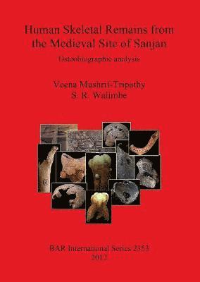 Veena Mushrif-Tripathy, S R Walimbe - Human Skeletal Remains from The Medieval Site of Sanjan, Häftad