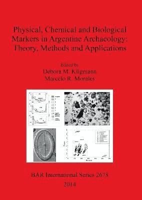 Débora M Kligmann, Marcelo R Morales - Physical chemical and biological markers in Argentine Archaeology: Theory Methods and Applications, Häftad