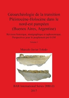Marcelo Javier Toledo - Géoarchéologie de la transition Pléistocène-Holocène dans le nord-est pampéen (Buenos Aires, Argentine), Volume I, Häftad