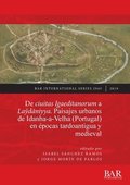 De ciuitas Igaeditanorum a Laydaniyya. Paisajes urbanos de Idanha-a-Velha (Portugal) en pocas tardoantigua y medieval