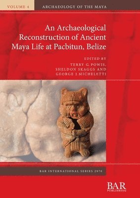 Terry G. Powis, Sheldon Skaggs, George J. Micheletti - Archaeological Reconstruction of Ancient Maya Life at Pacbitun, Belize, Häftad
