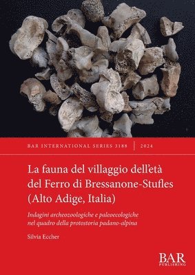 Silvia Eccher - fauna del villaggio dell'età del Ferro di Bressanone-Stufles (Alto Adige, Italia), Häftad