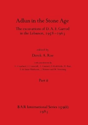 Derek A Roe - Adlun in the Stone Age, Part ii, Häftad