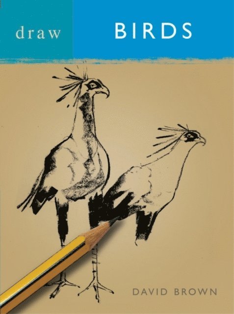 David Brown - Draw Birds, E-bok