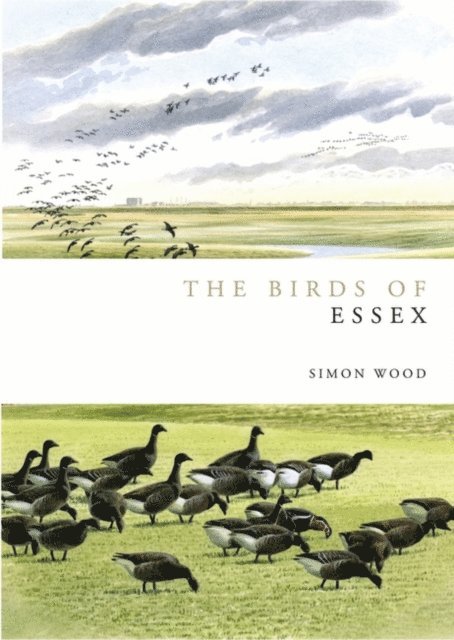 Simon Wood - Birds of Essex, E-bok