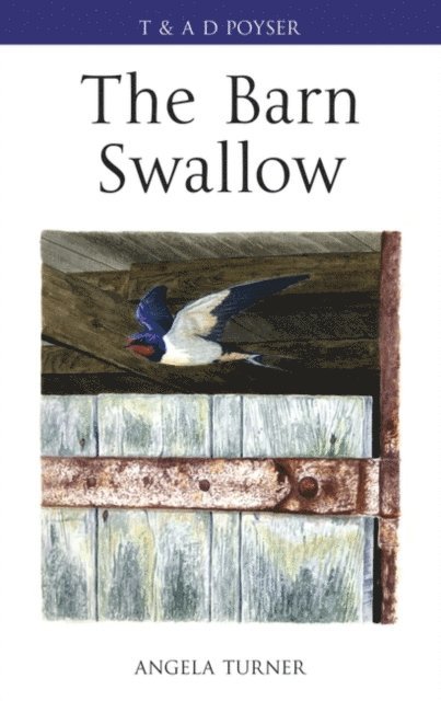 Angela Turner - Barn Swallow, E-bok