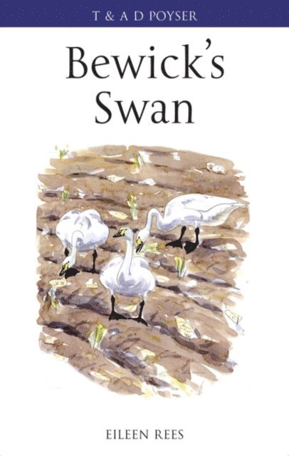 Eileen Rees - Bewick's Swan, E-bok