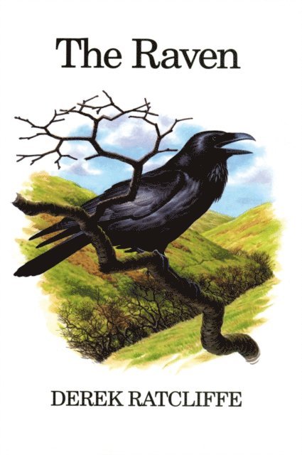 Derek Ratcliffe - Raven, E-bok