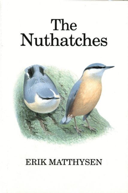 Erik Matthysen - Nuthatches, E-bok