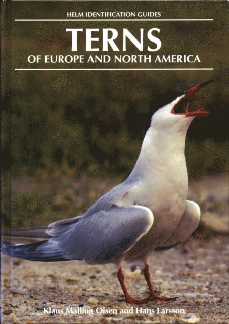 Hans Larsson, Klaus Malling Olsen - Terns of Europe and North America, E-bok