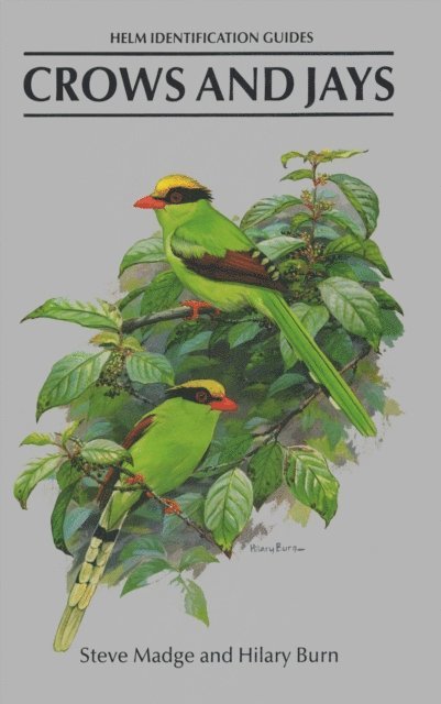 Steve Madge - Crows and Jays, E-bok