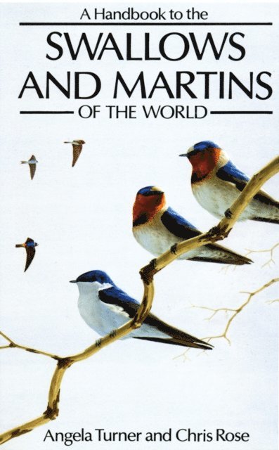 Angela Turner, Chris Rose - Handbook to the Swallows and Martins of the World, E-bok