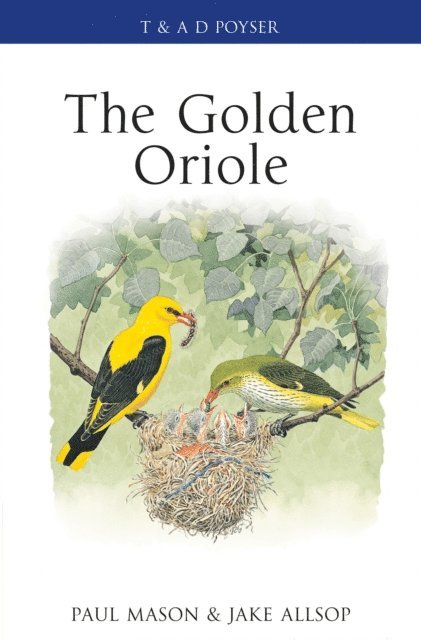 Paul Mason, Jake Allsop - Golden Oriole, E-bok