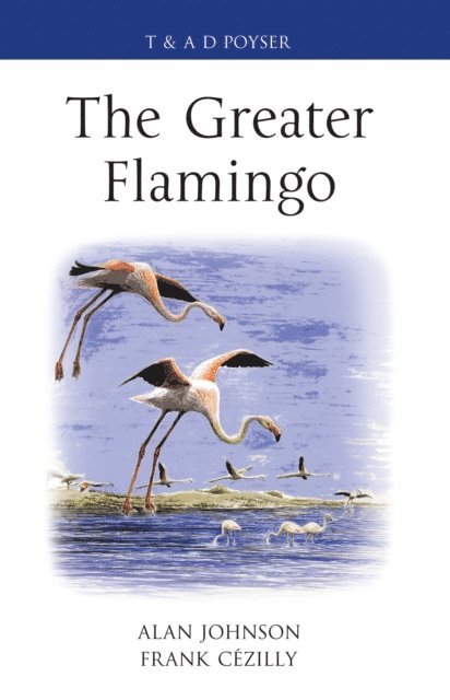 Alan Johnson, Frank Cézilly - Greater Flamingo, E-bok