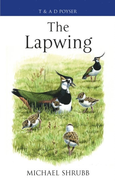 Michael Shrubb - Lapwing, E-bok