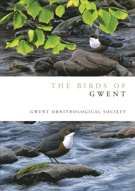 Gwent Ornithological society - Birds of Gwent, E-bok