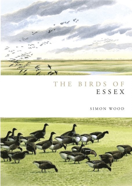Simon Wood - Birds of Essex, E-bok