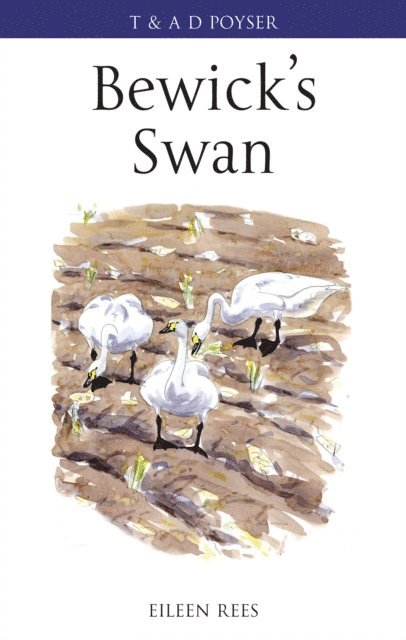 Eileen Rees - Bewick's Swan, E-bok