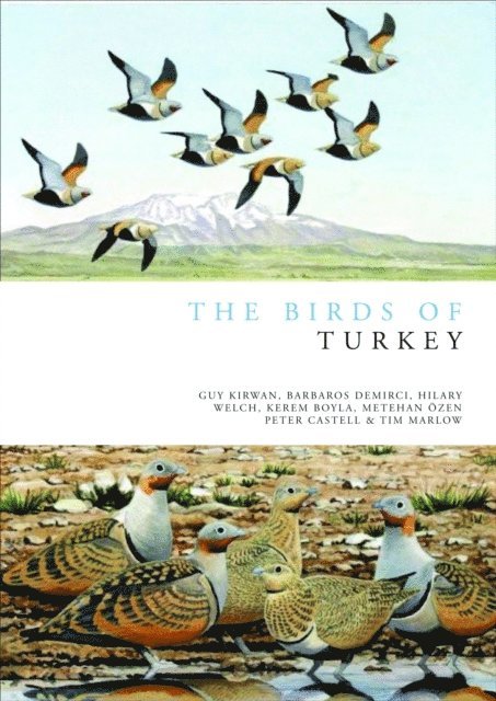 Guy Kirwan, Barbaros Demirci, Hilary Welch, Kerem Boyla, Metehan Özen, Peter Castell, Tim Marlow - Birds of Turkey, E-bok