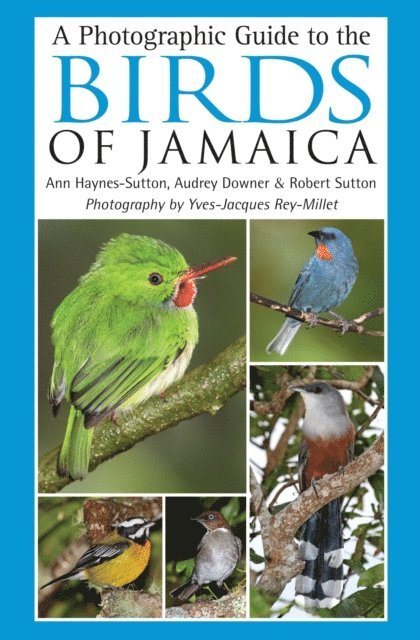 Ann Haynes-Sutton, Yves-Jacques Rey-Millet, Audrey Downer, Robert Sutton - Photographic Guide to the Birds of Jamaica, E-bok