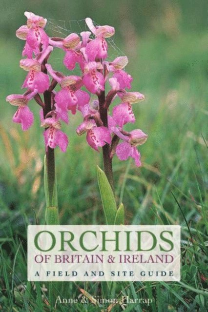 Anne Harrap, Simon Harrap - Orchids of Britain and Ireland, E-bok