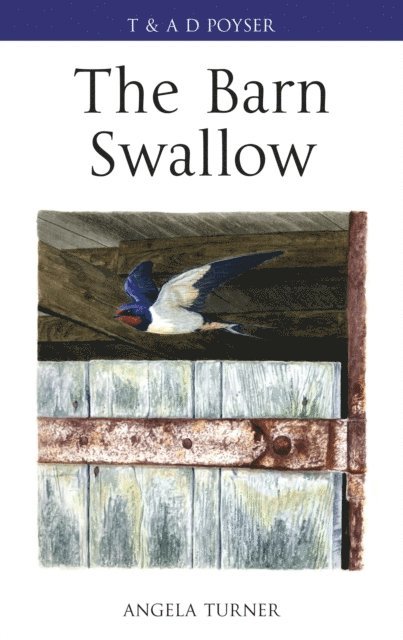 Angela Turner - Barn Swallow, E-bok