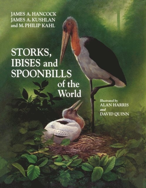 James Hancock, James A. Kushlan, M. Philip Kahl - Storks, Ibises and Spoonbills of the World, E-bok