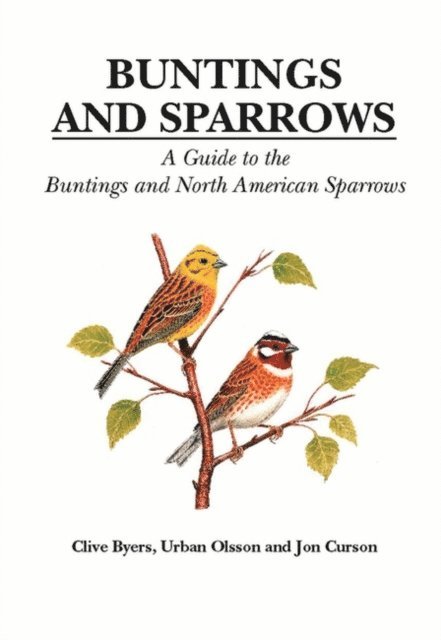 Clive Byers, Urban Olsson, Jon Curson - Buntings and Sparrows, E-bok