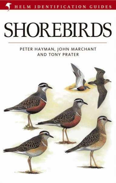 John Marchant, Peter Hayman, Tony Prater - Shorebirds, E-bok