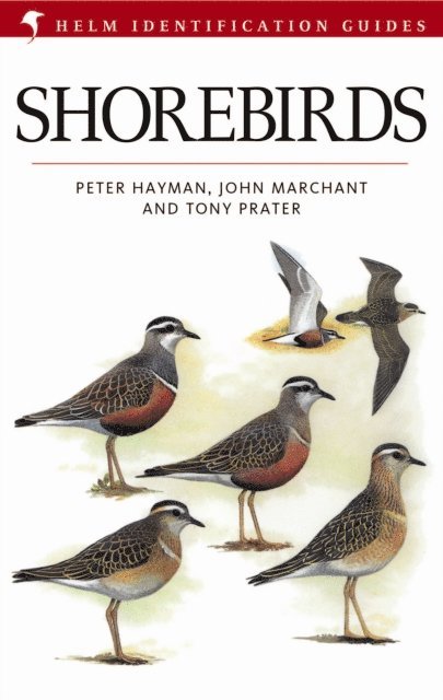 John Marchant, Peter Hayman, Tony Prater - Shorebirds, E-bok