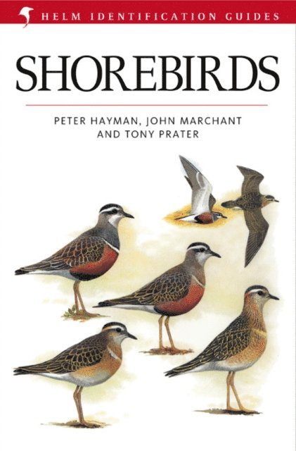 John Marchant, Peter Hayman, Tony Prater - Shorebirds, E-bok