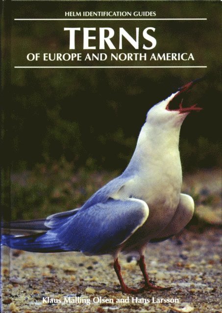 Hans Larsson, Klaus Malling Olsen - Terns of Europe and North America, E-bok